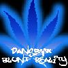 dansbmx