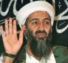 OsamaBinLaden's Avatar