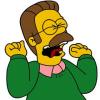 Ned Flanders's Avatar