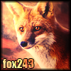 Founder Fox's Avatar