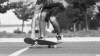 catchulater1