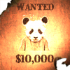 KilllerPanda's Avatar