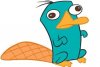 The_Platypus's Avatar