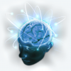 Quanta