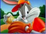 Shevyrabbit