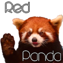 Red Panda's Avatar