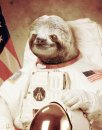 Sloth Astronaut's Avatar