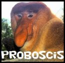 Proboscis's Avatar
